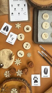 Animal Tracks Pack - Etsy UK