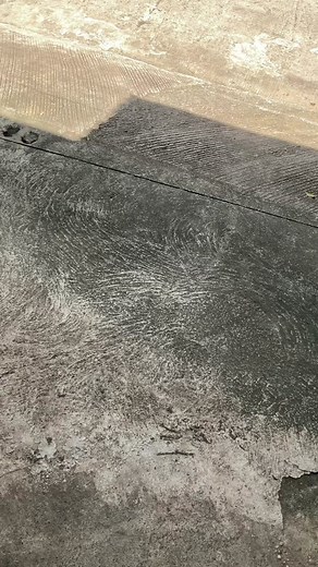 Best Buy of the Year: Poco X6 Pro 5g Ultra Gaming Beast Camera Test