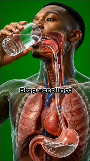 📌What Really Happens Inside Your Body When You Drink Water? 🤯