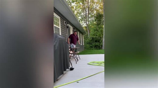Dad surprised with puppy after losing two dogs