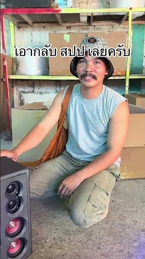 DIY Bluetooth speaker cabinet, 12-inch subwoofer, flat pass, built-in sound