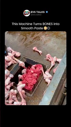 This Machine Turns BONES into Smooth Paste 😳⚙️