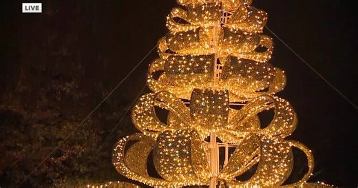 Wild Winter Lights returns to Cleveland Zoo with dates for walking and drive-throughs