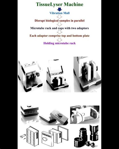 Principle of TissueLyser Machine #geneticteacher
