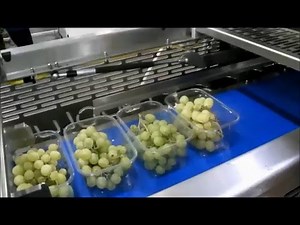 Grape Packing Line - Packaging Automation High Speed Revolution Tray Sealing Machine