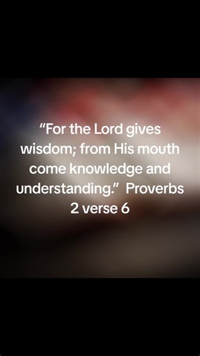 Proverbs Daily Devotional: Seek Wisdom and Understanding