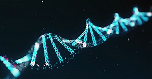 Video by Pressmaster on Pexels