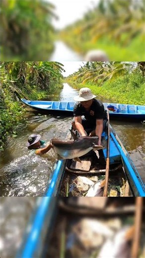 Giant fish shocking device #fishshock #fishshocker