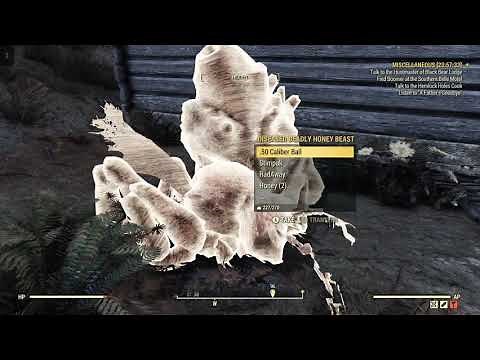Fallout 76 Kill A Honey Beast Location