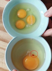Filaments blancs et taches rouges dans l'œuf : qu'est-ce que c'est et devriez-vous vous en inquiéter ? Peut-on manger ces œufs ? 🤔 Détails dans les commentaires. ⬇️⬇️⬇️ | L'Actu avec le sourire.