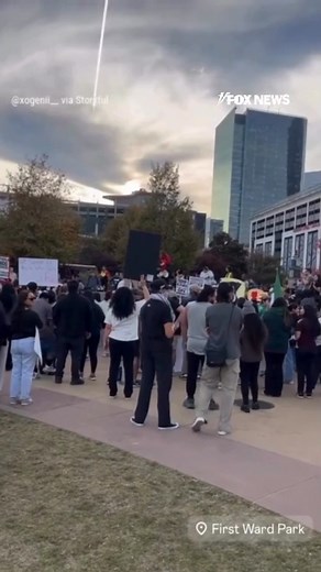 1.5M views · 30K reactions | BORDER CLASH: Protesters filled Charlotte’s First Ward Park on Saturday, rallying against the presence of U.S. Border Patrol. The rally unfolded as federal agents launched an immigration operation that reportedly led to multiple arrests. | Fox News | Facebook