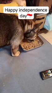 Emelien Codella on Reels | Facebook