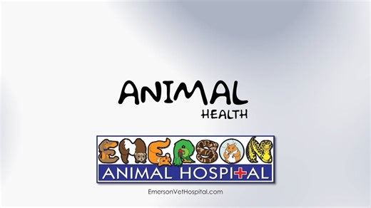 Animal Health (Chicken Lice) - 02/12/26