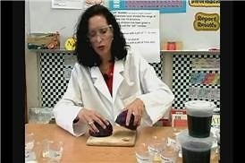 Watch Chemistry Lesson&colon; How to Make a Ph Indicator on Amazon Live