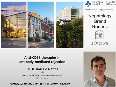Anti-CD38 therapies in antibody-mediated rejection with Dr Tristan De Natte