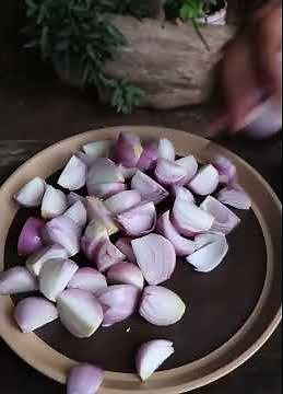 Softshell turtle & Catfish Soup Recipe