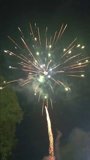 Futurama 49 shot Firework