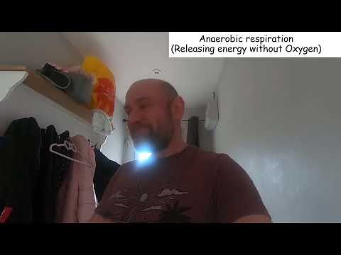 Oxygen debt Biology GCSE Science KS3 KS4