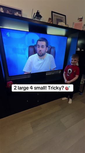 Challenge Accepted: 2 Large, 4 Small Puzzle!