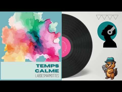 TEMPS CALME - Stress et Anxiété | Musique réparatrice | 528Hz HandPan