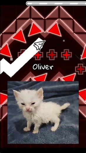 3 things that humans cannot do #geometrydash #kingsammelot