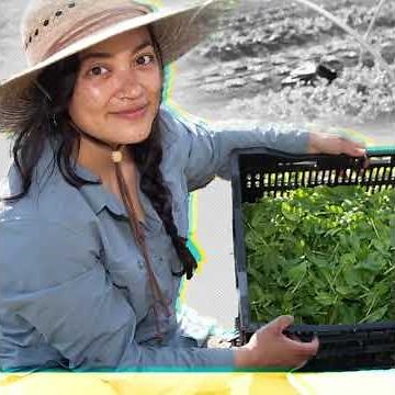 Rotary International: The Rotary Foundation - #GivingTuesday 2022