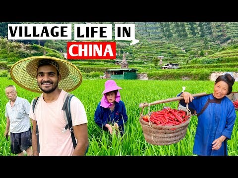 Rural Village life in China 🇨🇳 | How is Village life in China 🇨🇳 中国农村生活