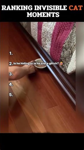 Ranking cats who literally think they’re John Cena 💀 #shorts #funnycats #viral #shortsviral