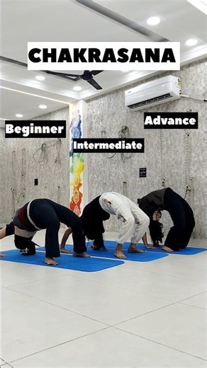 3 Levels of Chakrasana 🔥 Beginner to Advanced | Can You Do Level 3? #yoga #shorts