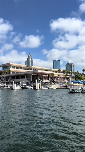 Raw Jet Engine Noise & Flyby - Gravity Industries