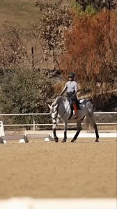 14K views · 194 reactions |  What makes a good free walk? It’s not...