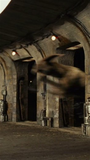 Fathiers - Star Wars Creatures Explained Fast