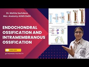 Endochondral & Intramembranous Ossification | Bone Formation Explained