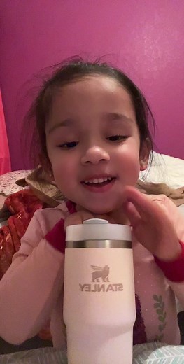 Shocking Stanley Cup Hack Revealed!