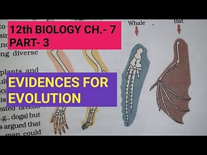 Class 12 biology chapter 7,Part 3||Evidences for evolution||Study with Farru
