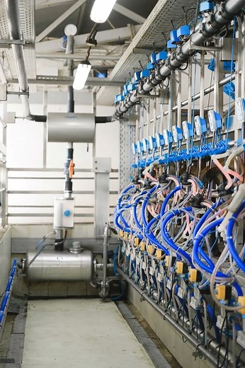 まだ手動で消耗してる？ #ショート#スクリプト #効率化 #自動化 #プログラミング