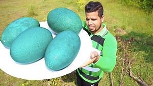 2M views · 10K reactions | OMELETTE MADE WITH EMU BIRDS EGGS | Rangers cooking show | Facebook