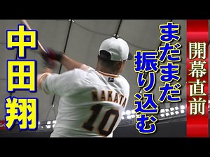 開幕直前！まだまだ振り込む中田翔