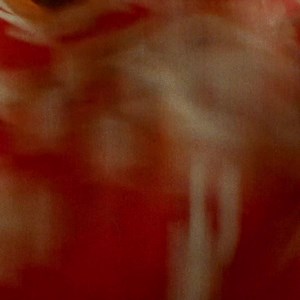 1.3K reactions · 113 shares | Mandatory quarantine has lifted and so have our spirits. Santa Fe is open again. | Visit Santa Fe, New Mexico | Facebook