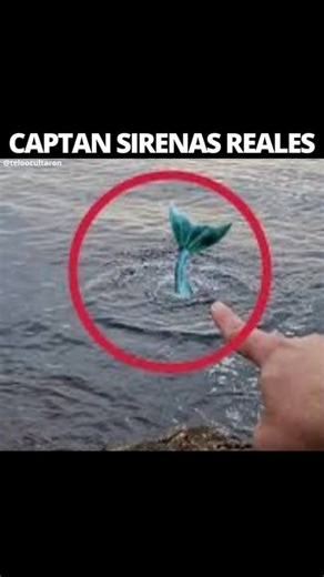 ENCUENTROS OVNI 🛸 on Instagram: "El miedo es la mejor arma de la élite; lo han demostrado a lo largo de la historia. Juegan con simbología e implantan programaciones para mantenernos sumisos y obedientes. Tus líderes políticos, tus artistas, tus deportistas favoritos: todos forman parte de una misma agenda. Mantenerte dormido les permite hacer cosas tan turbias que no estás preparado para conocerlas. El mal existe, y está en la Tierra… 👁️ Si Envías un DM o Comentas “LIBRO” podrás saber todo so