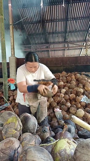 the process of processing coconut into copra... #Shorts #VillageLifeStory #VillageFarmers