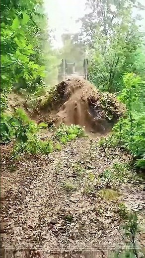 Clearing the Way: How Land Management Shapes Natural Pathways