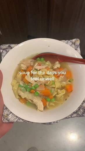 Healing Chicken Noodle Soup Recipe for Acid Reflux and Gastritis Relief