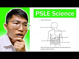 Trying the PSLE 2023 Paper! | Science