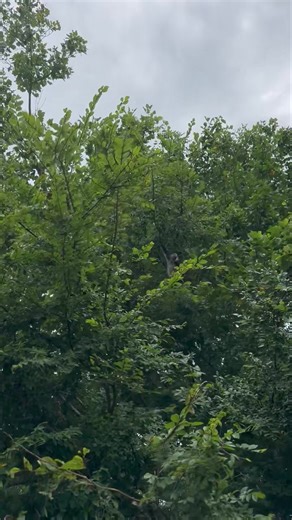 302K views · 10K reactions | Little frog man  | Our Life Adventures | Facebook