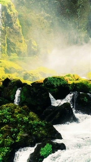 Calm Your Mind in Seconds💫 #relax #relaxing #cicadasound #water