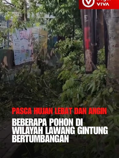Pasca terjadinya hujan lebat disertai angin, beberapa pohon di wilayah Lawang Hintung bertumbangan pohon tumbang yang sempat mengakibatkan ruas jalan tertutup pada Rabu (15/4/2026) saat ini jalan Lawang Gintung bisa kembali dilintasi kembali setelah ada penangan dari BPBD. Video : Naya Shifa / Vivabogor