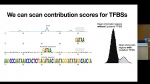 MIA : Jacob Schreiber || 顺式调控元件的程序化设计和编辑；Gregory Andrews
