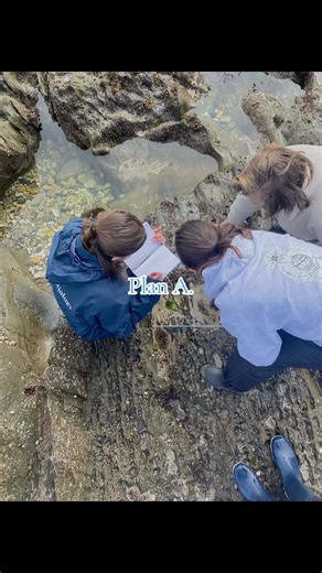 Exploring Marine Biology: Dive into the Ocean's Wonders