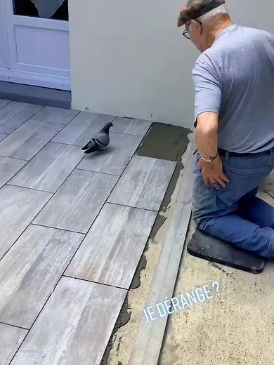 Josefa.coco sur TikTok